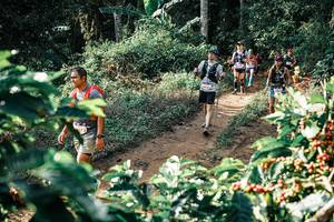 BIB: 
                            <button type="button" onclick="openModal(25853038)" class="btn btn-primary btn-sm float-right btn-popup" data-toggle="modal" data-target=".modal-high-quality">
                        <i class="fas fa-shopping-cart"></i> Add to Cart
                    </button>
                                            <button type="button" onclick="isThisMe(25853038, true)" class="btn btn-success btn-sm float-right btn-popup btn-isme hidden" data-toggle="tooltip" data-placement="bottom" title="นี่คือรูปของคุณใช่ไหม คลิกที่นี่เพื่อเอาเข้าอัลบั้ม">
                        <i class="fas fa-plus"></i> Add to album
                    </button>
                    <button type="button" onclick="isThisMe(25853038, false)" class="btn btn-warning btn-sm float-right btn-popup btn-isnotme hidden">
                        <i class="fas fa-ban"></i> Remove from album
                    </button>